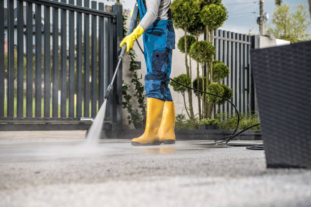 Best Sidewalk and Walkway Cleaning  in West Wyomissing, PA